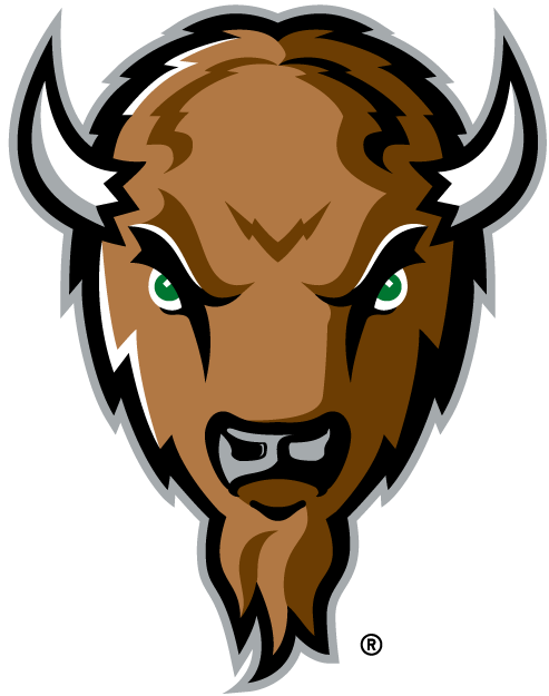Marshall Thundering Herd 2001-Pres Alternate Logo v2 iron on transfers for T-shirts